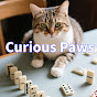 I am Curious Paws logo