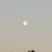 @moonlight-v8l1i