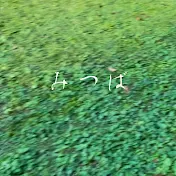 mitsuba vlog夫婦と犬の暮らし