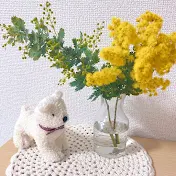 40代おひとり様　私にちょうどいい暮らし