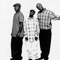 The Dove Shack - Topic