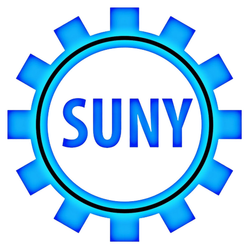 Mr SunY Logo