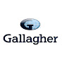 Gallagher Insurance New Zealand logo