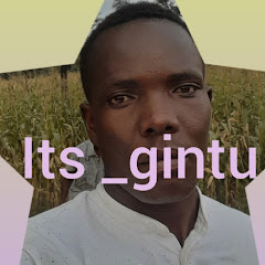 Its_gintu Avatar