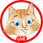KittyCatCollection