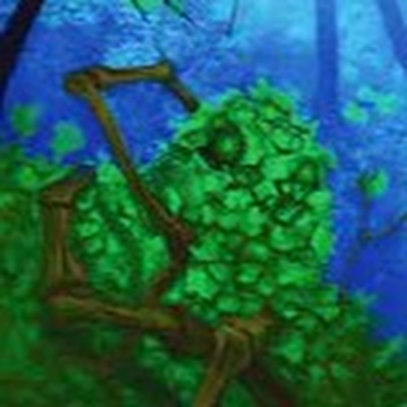 pheasant's Spirit Island reborn
