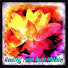 Zx56lU5mODU-channel-avatar-Heal Deep With Reiki 