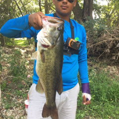Fern The Fisherman