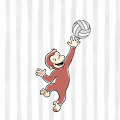 Vogue_volleyball