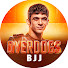 s_-W6nfuqdE-channel-avatar-Mikey Musumeci's Overdogs BJJ