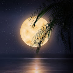 Soothing Sleep Music