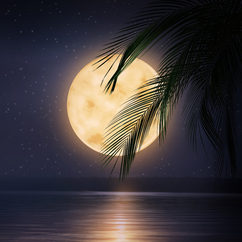 Soothing Sleep Music