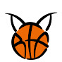 Basket Torino Femminile logo