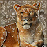 feofOI3_QeE-channel-avatar-Moonlit~lioness