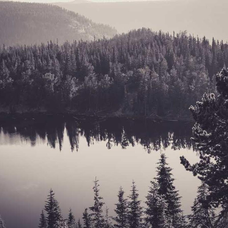 The Great Connection