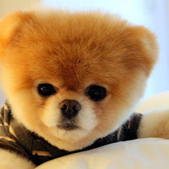 休日よりエンジョイ