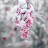 @photosinneighborhood