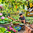 wlEpE2aowMw-channel-avatar-Bếp Xưa TV