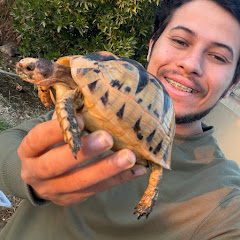 سامي العقباوي Samy AlAqabawi