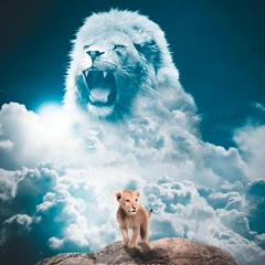 Ansh Gautam 9080