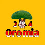 Oromia 24 Image Thumbnail