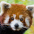@KeennanArcher's avatar