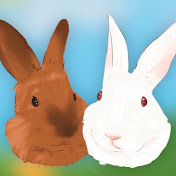 Rabbit Life