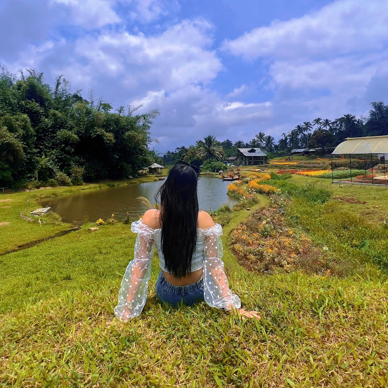 𝐠𝐞𝐥𝐰𝐡𝐲