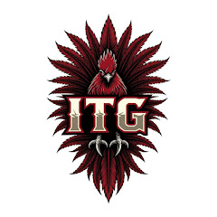 Inside the Gamecocks