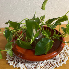 81才　ちいチャンネル