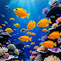 UChpX1BU6FQ-channel-avatar-Candy fish