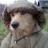 Автор