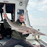 AbqFoUk_4Qc-channel-avatar-Fish & Cast 