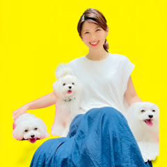 おたすけDog・ゆう / Otasuke Dogアイコン画像