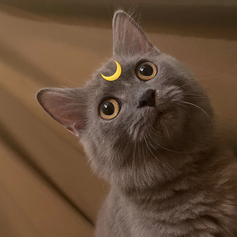 Luna 🌙