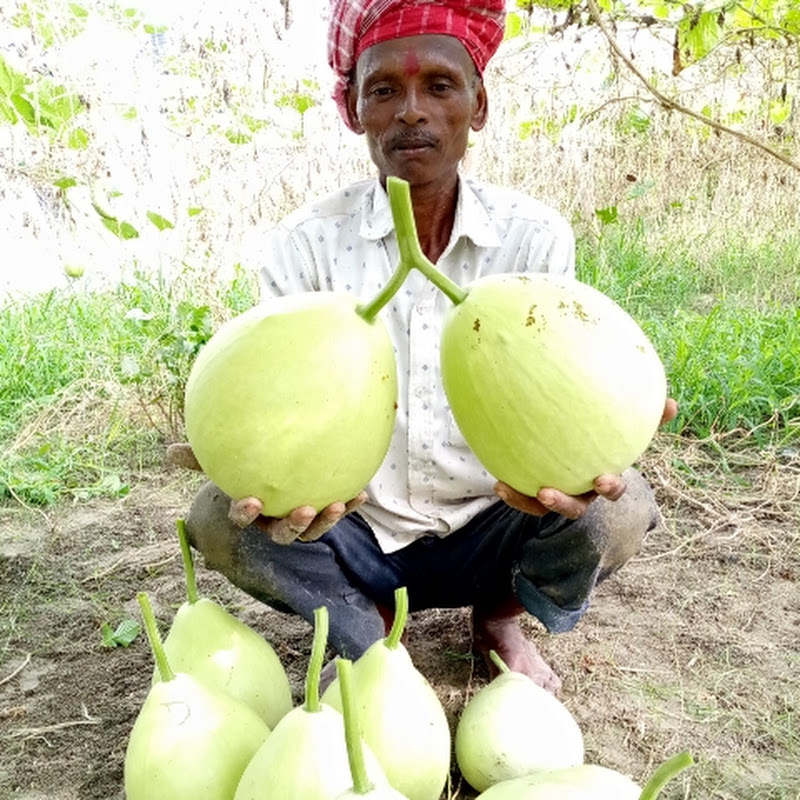 Mohan Agriculture