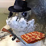 DFevos6_yak-channel-avatar-izdigi25