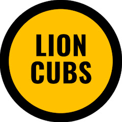 Lion Cubs Minifotbal Cluj Napoca