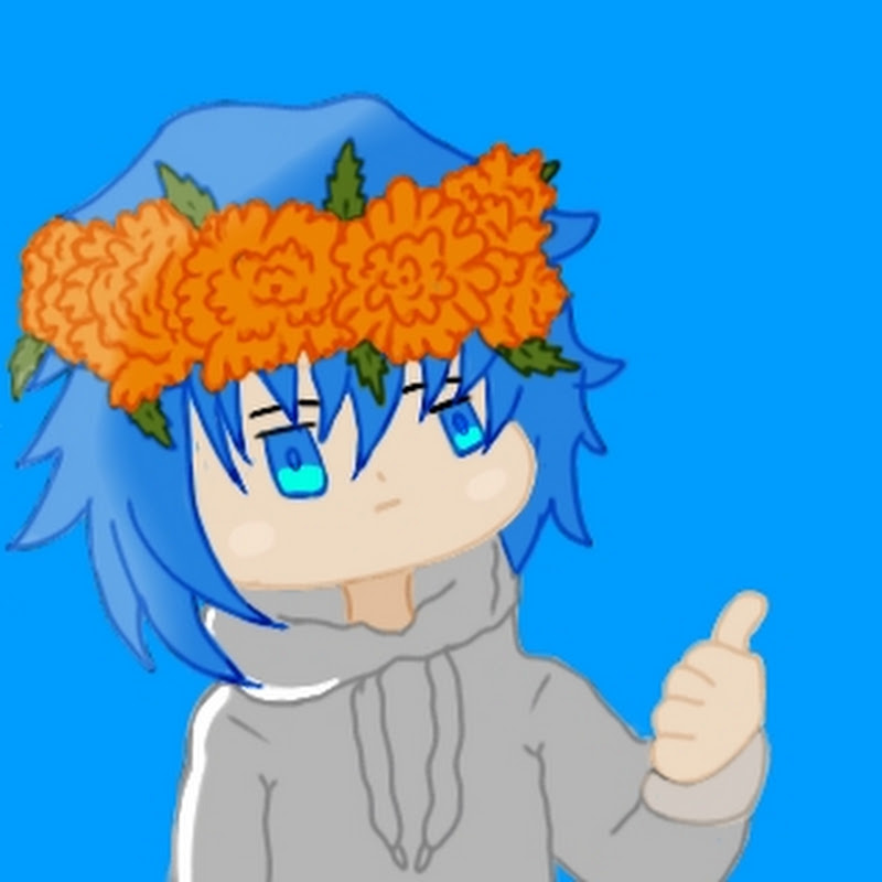 AERO ICE