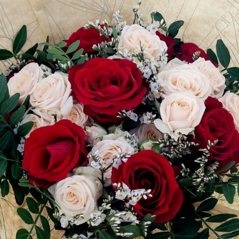  ANA HONIG CASA & IDEIAS 