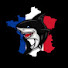 51koiVN3riQ-channel-avatar-The BlackFish Empire