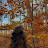 @vlogs.by.isla1's avatar