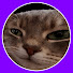 gqkBK9SGaYQ-channel-avatar-Rasco100TV