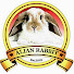 LM2cZInLIA4-channel-avatar-Alian Rabbit