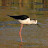 @army-bird