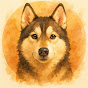SCG 허스키의 음악세계 SCG Husky's Music World