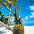 ohSQkCQzScE-channel-avatar-Ananas republic 🍍 