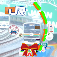 湘新特快EᴀᴍS