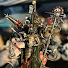 Z7E0qzudukI-channel-avatar-Belisarius Paul