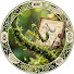 -NQ6OgcP2SE-channel-avatar-物種速記